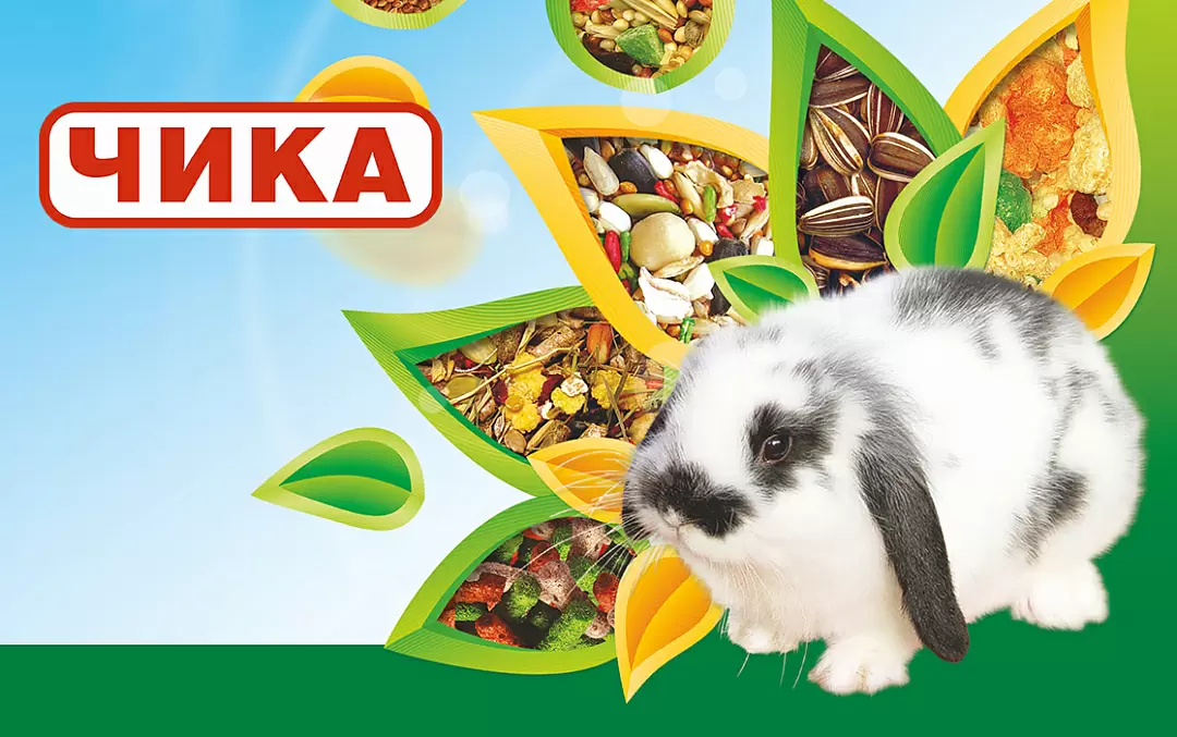 ЧИКА