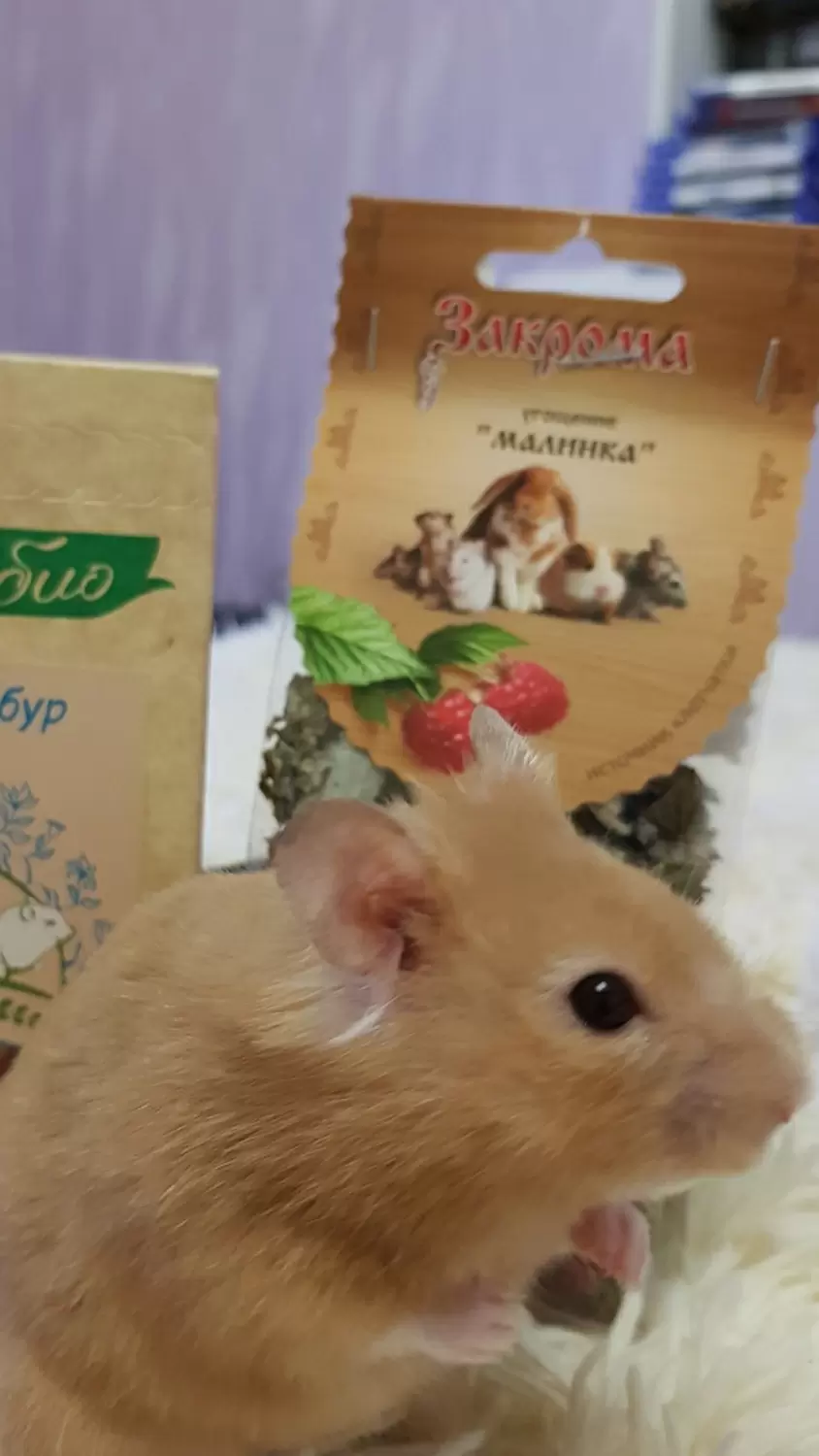 Лакомство для гразунов «Топинамбур»